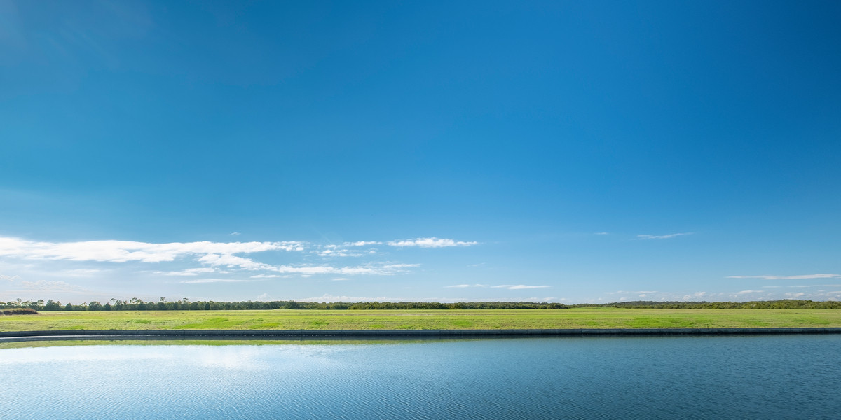 Frangipani Court, Jacobs Well QLD 4208 Riba