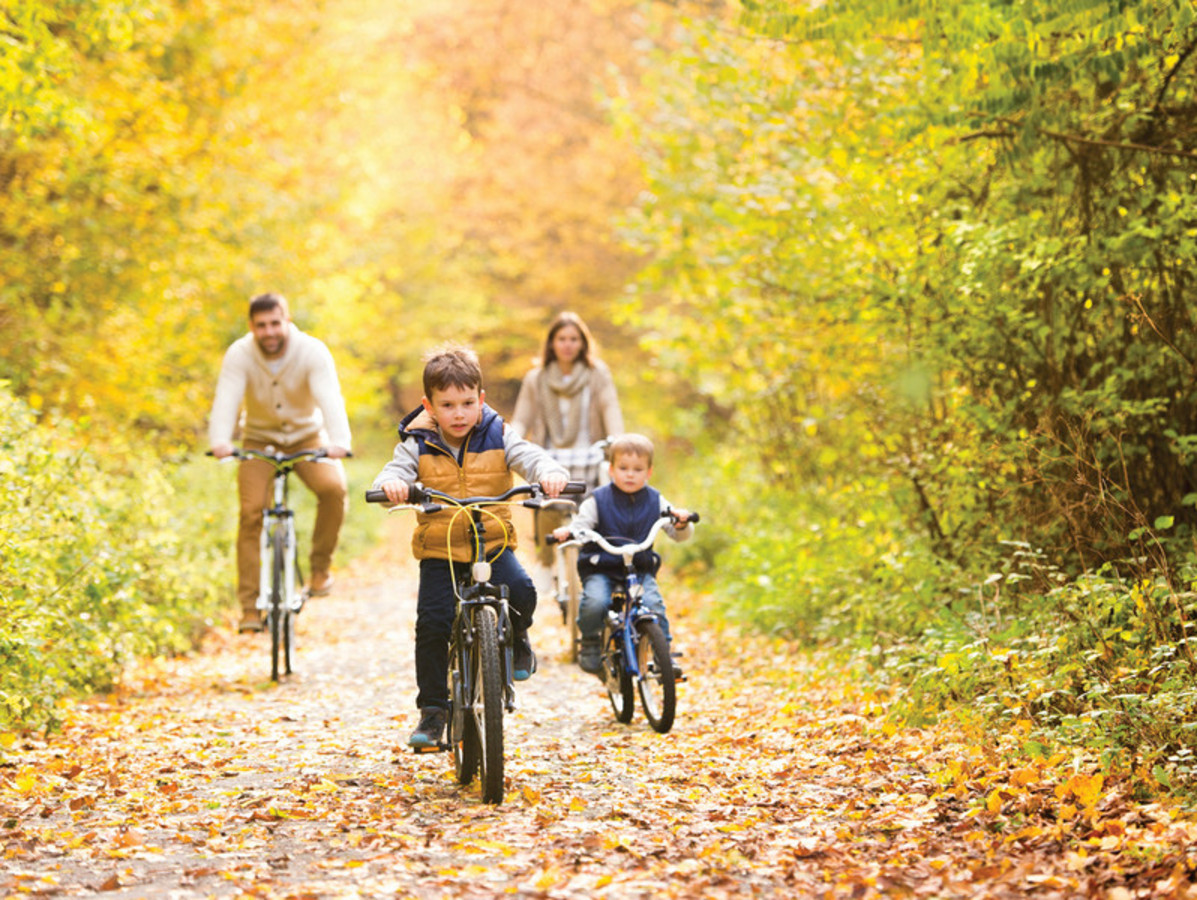 Sophia Crescent, Brimbin NSW 2430 Riba